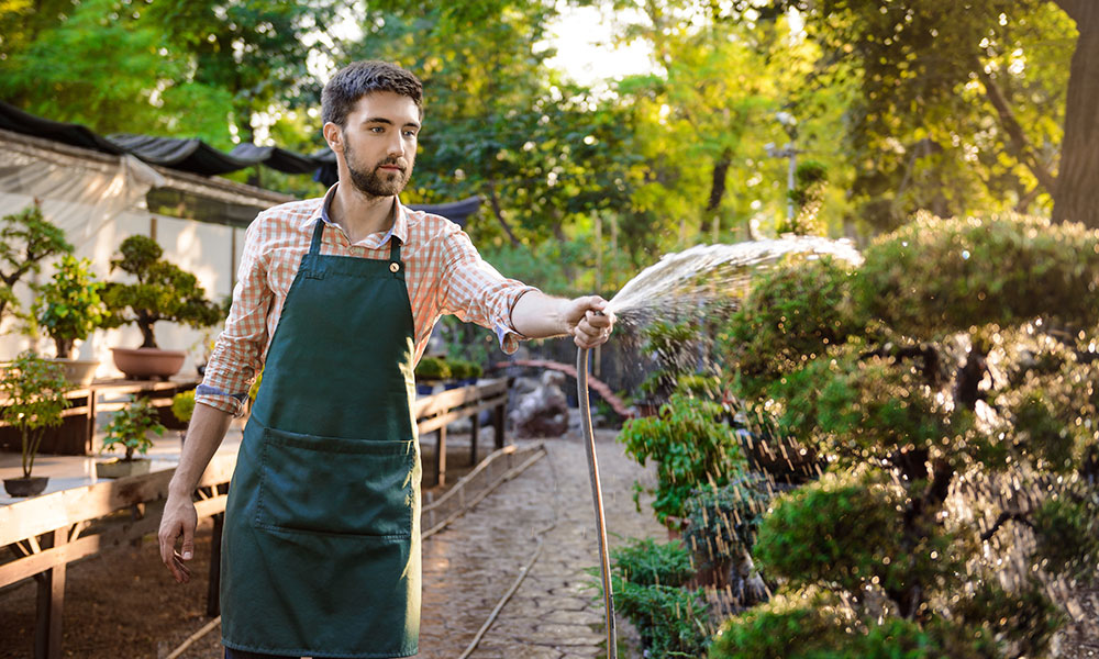 The Art of Watering Your Lawn-Essential Tips and Techniques